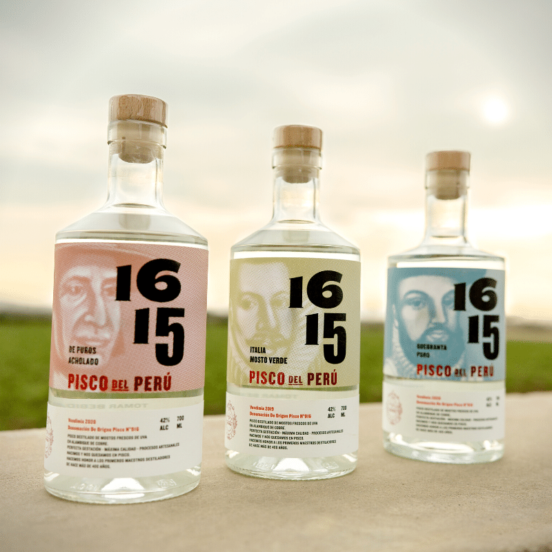 1615 Pisco - Image 4